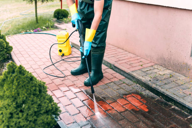 Best Roof Pressure Washing  in Thorp, WI