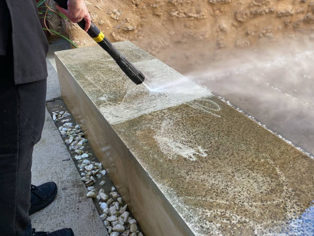 Best Pressure Washing Near Me  in Thorp, WI