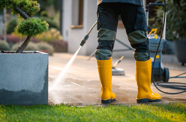 Best Pressure Washing Siding  in Thorp, WI